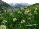 Von Zug zum Spullerschafberg