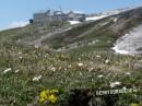 Auf dem Schlernmassiv