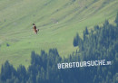 Steinadler