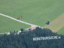 Steinadler