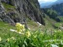 Große Klammspitze