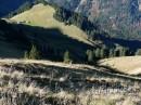 Wildengundkopf im Gebirgszug Himmelsschrofen