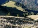 Wildengundkopf im Gebirgszug Himmelsschrofen