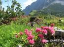 Handschuhspitze