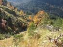 Wildengundkopf im Gebirgszug Himmelsschrofen