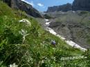 Holzgauer (auch Lechtaler-) Wetterspitze