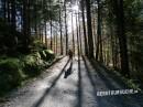 Wildengundkopf im Gebirgszug Himmelsschrofen