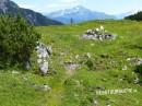 Handschuhspitze