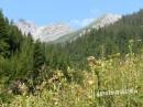 Vordere Steinkarspitze und Galtjoch