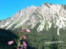 Rohnenspitze und Ponten