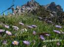 Rohnenspitze und Ponten