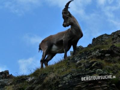 St. Leonhard im Pitztal