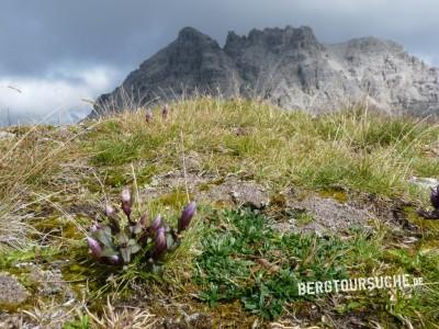 Lailachspitze