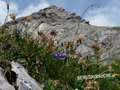 Ellbogner Spitze