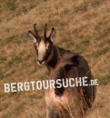 Gams bzw. Gämse