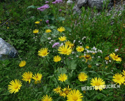 August im Alpenraum